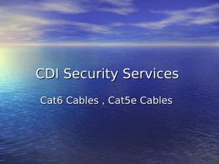 CDI Security Services.ppt