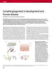 Lymphangiogenesis in development and.pdf